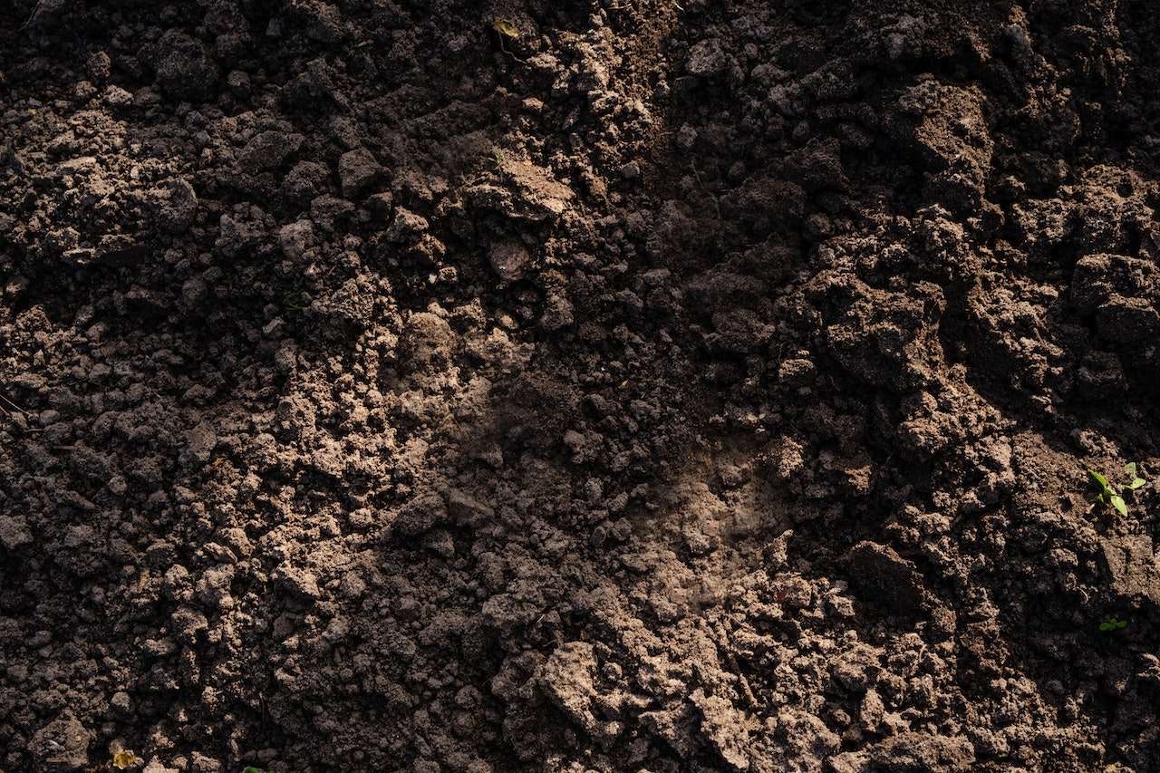 Sol vivant et fertile enrichi en matière organique