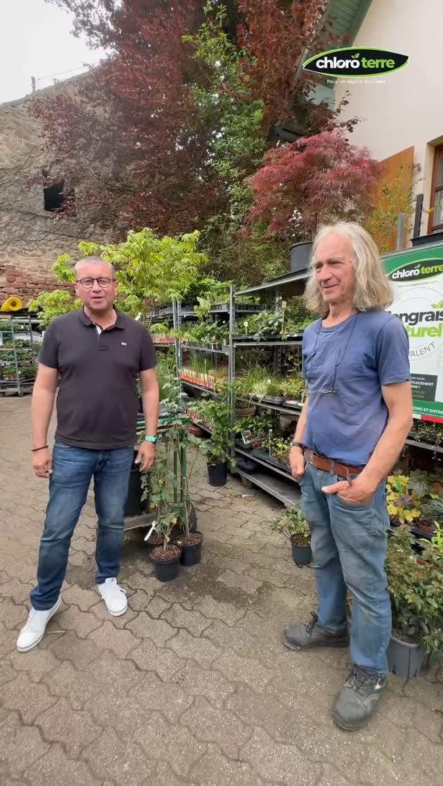 À la rencontre de Christian Romain, horticulteur passionné à Barr (67), fidèle à Chloro Terre depuis plus de 8 ans.
