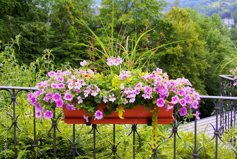 Chloro Terre — usage Bacs & pots hors-sol