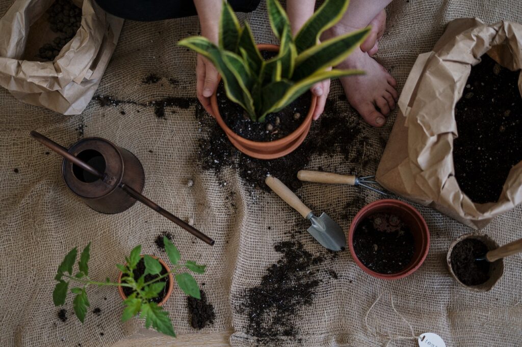 Débuter le jardinage