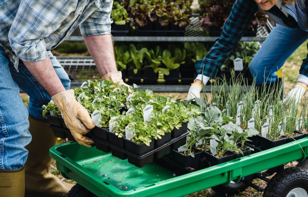 Pro Bio Terre - Alimentation Biologique