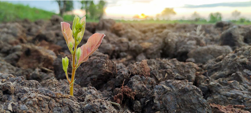 Pro Bio Terre - Sols Limoneux