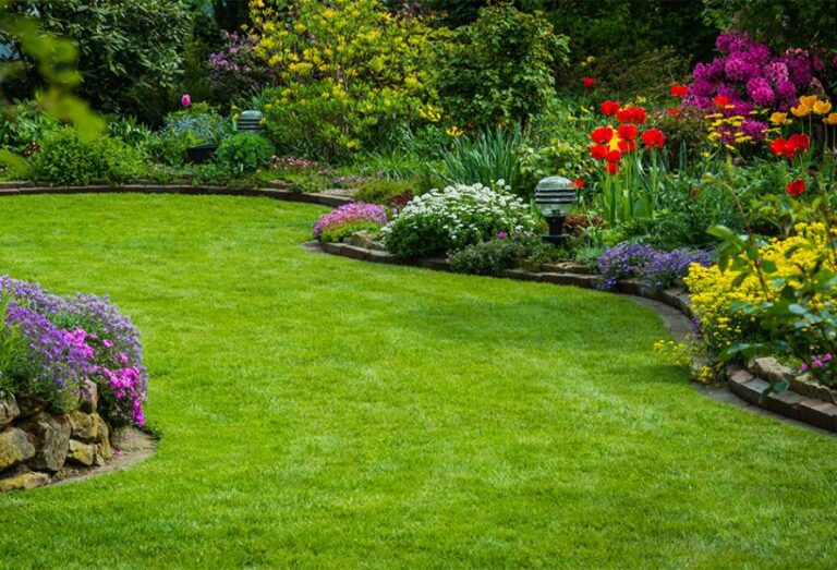 Comment arroser les plantes pendant les périodes de chaleur ?